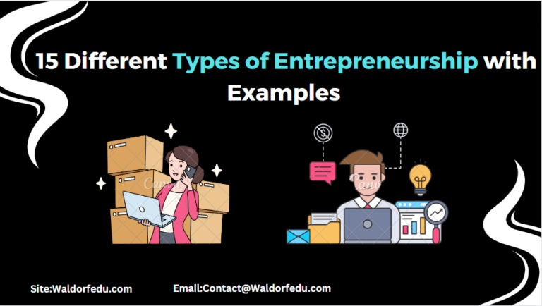 Inspiring Types Of Entrepreneurship With Examples Waldorfedu